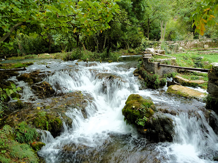 医療法人道仁会 道仁病院 病院長 宮﨑 道彦